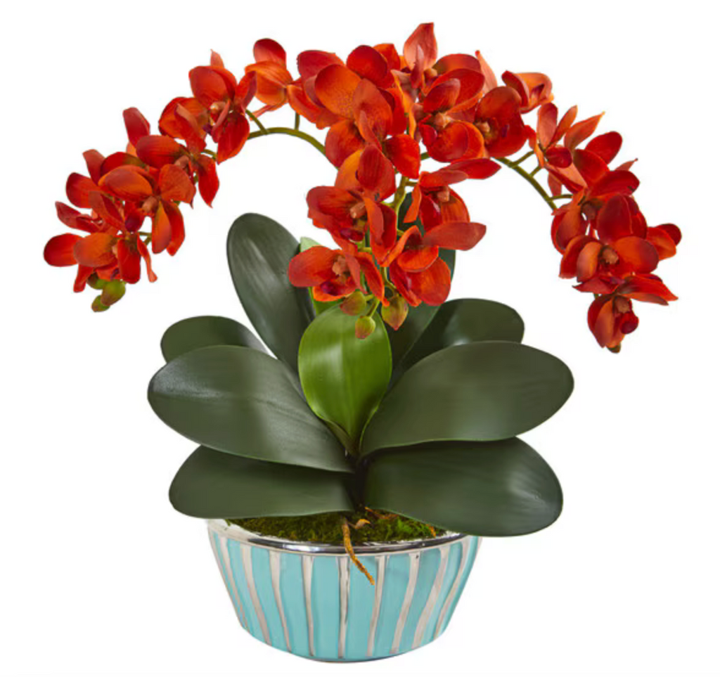 Phalaenopsis Orchid Arrangement in Designer Vase