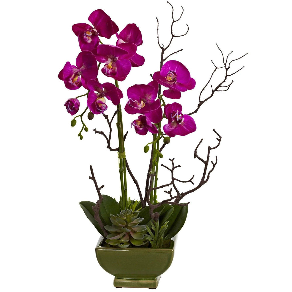 Orchid and Succulent Arrangement - Life In Alignment
