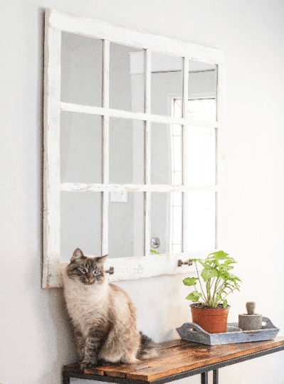 Reclaimed Barnwood, 12-Pane Farmhouse Window Mirror - Life In Alignment