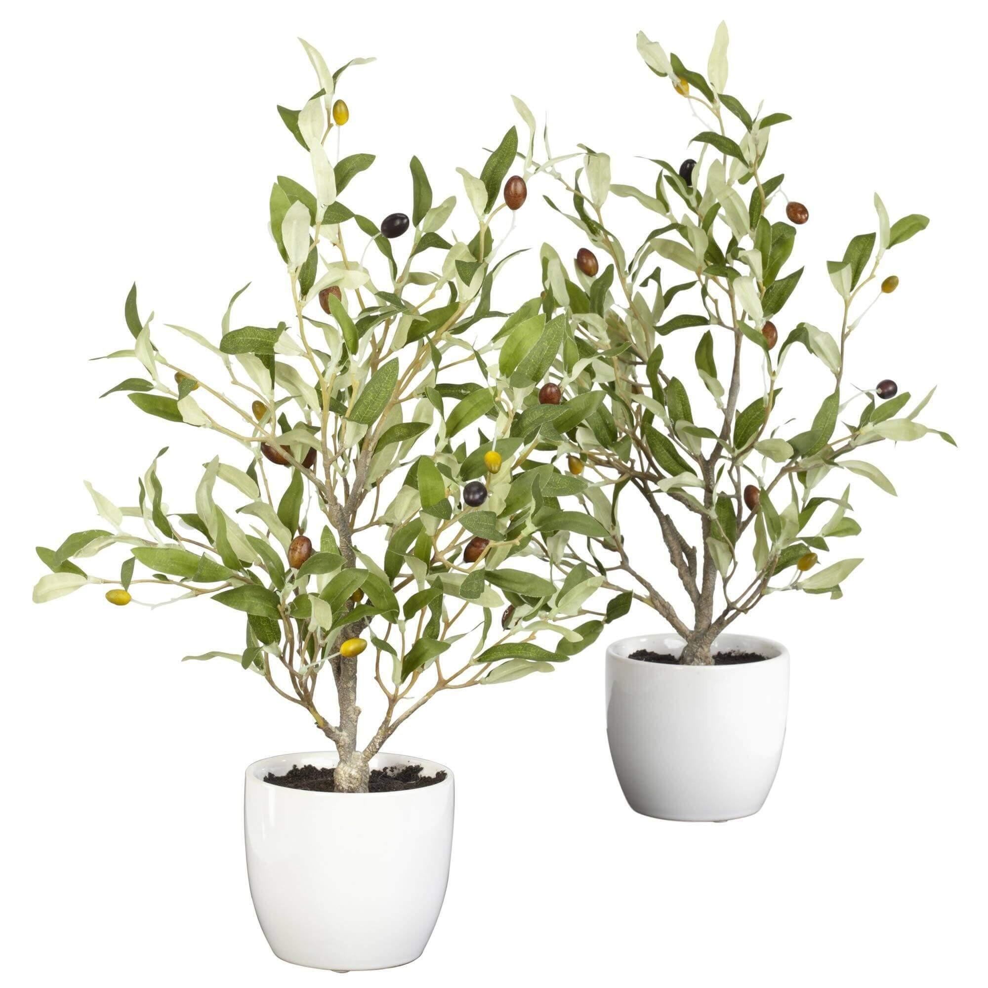 ethically sourced 18" Olive Silk Tree With Vase - Set of 2 Life In Alignment