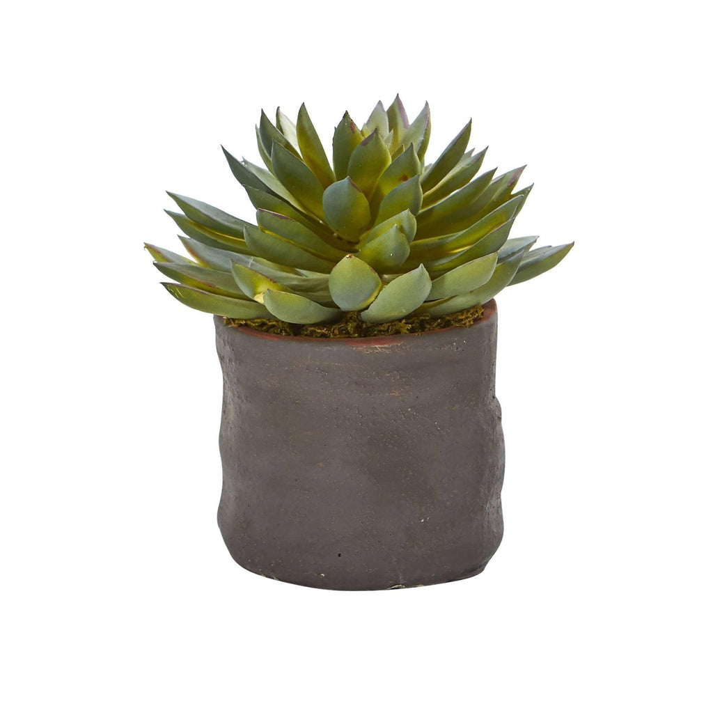 ethically sourced Mixed Succulent Trio Artificial Plant - Set of 3 Life In Alignment