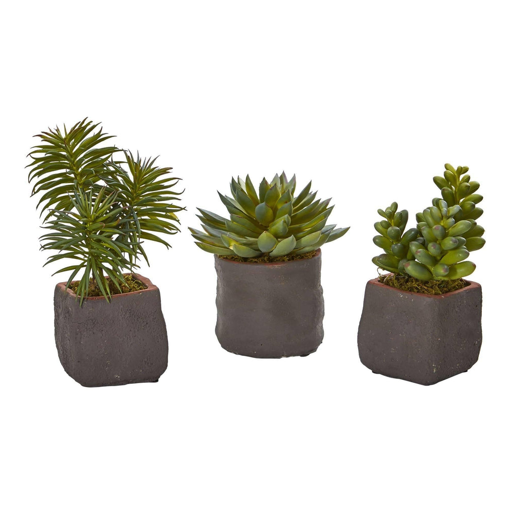 ethically sourced Mixed Succulent Trio Artificial Plant - Set of 3 Life In Alignment