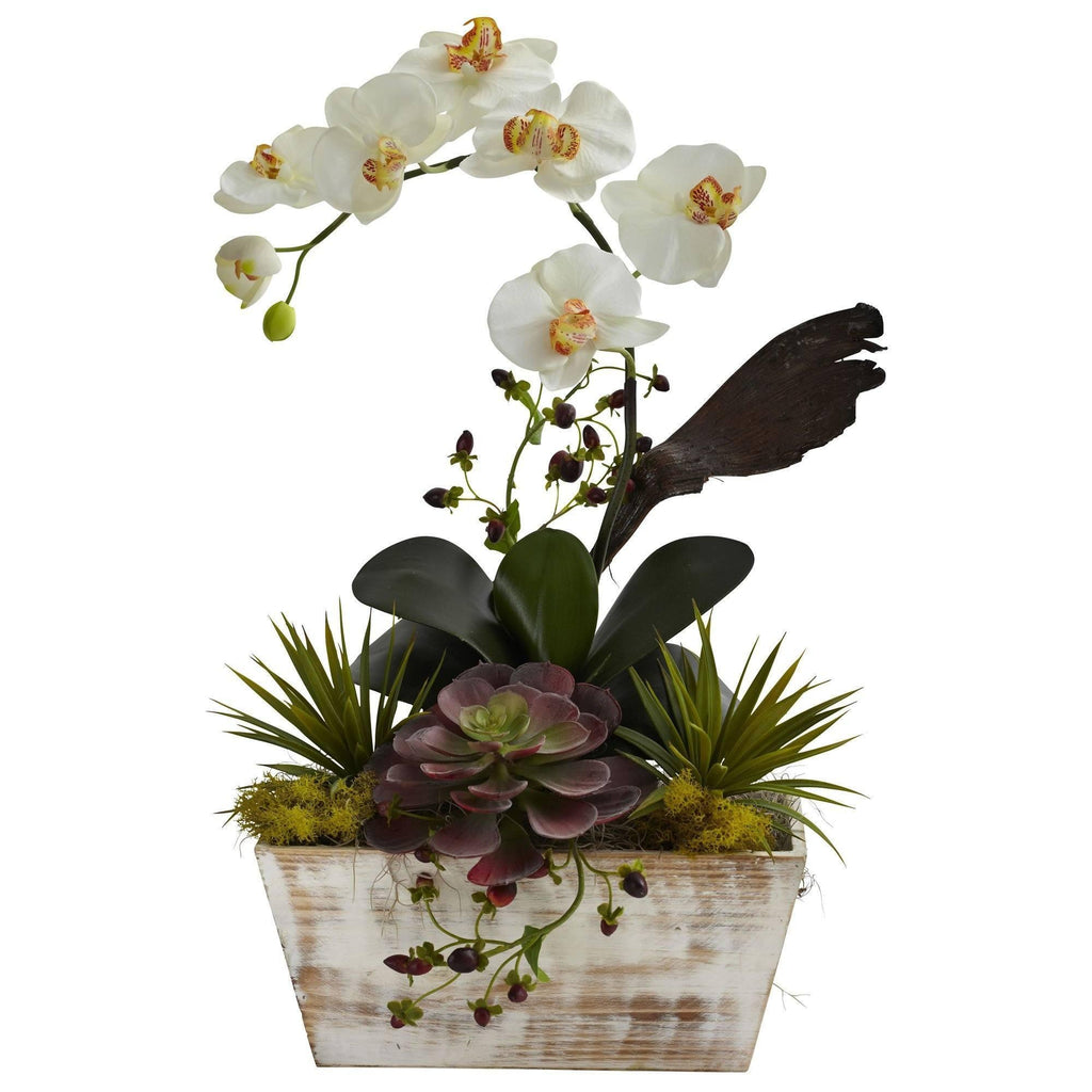 ethically sourced Orchid & Succulent Garden with White Wash Planter Life In Alignment