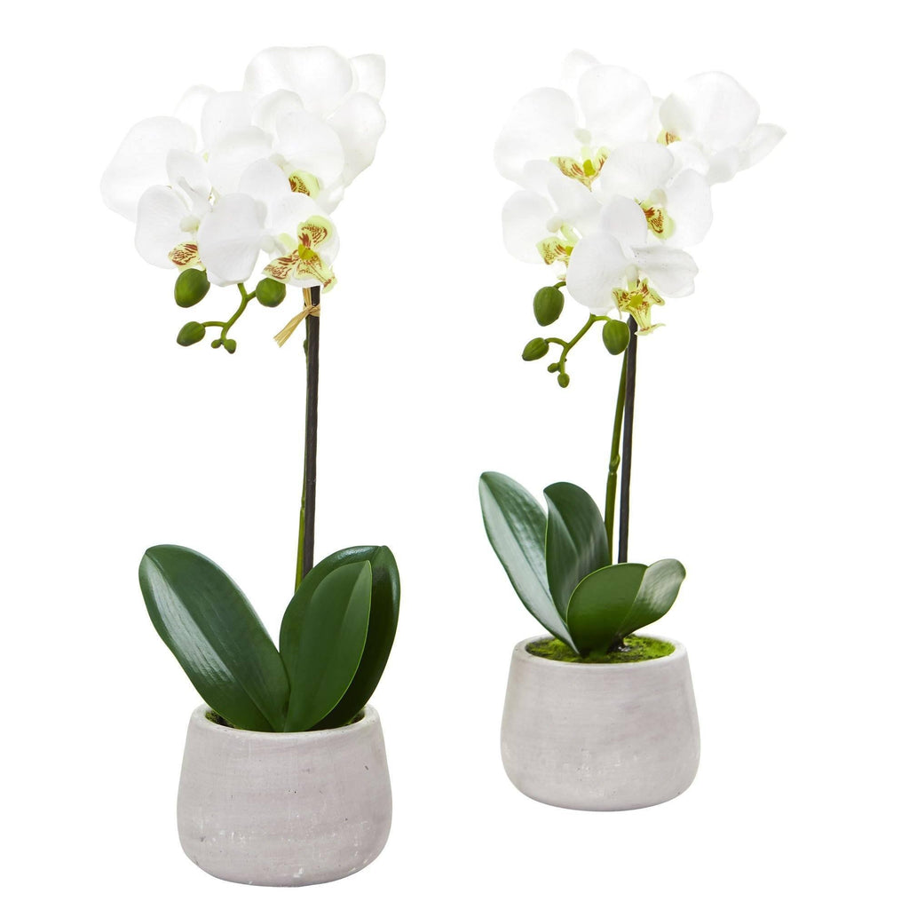 ethically sourced Phalaenopsis Orchid Artificial Arrangement - Set of 2 Life In Alignment
