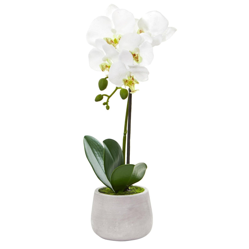 ethically sourced Phalaenopsis Orchid Artificial Arrangement - Set of 2 Life In Alignment